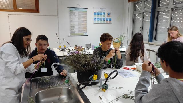 Escola Secundária Dr. António Granjo recebeu um grupo de 24 alunos e 8 professores oriundos da Alemanha (Bad Harzburg), Países Baixos (Amesterdão), Eslovénia (Lenart) e Eslováquia (Bardejov), no âmbito do projeto de intercâmbio escolar Erasmus+, Together We Thrive.