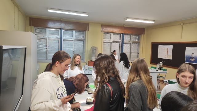 Escola Secundária Dr. António Granjo recebeu um grupo de 24 alunos e 8 professores oriundos da Alemanha (Bad Harzburg), Países Baixos (Amesterdão), Eslovénia (Lenart) e Eslováquia (Bardejov), no âmbito do projeto de intercâmbio escolar Erasmus+, Together We Thrive.