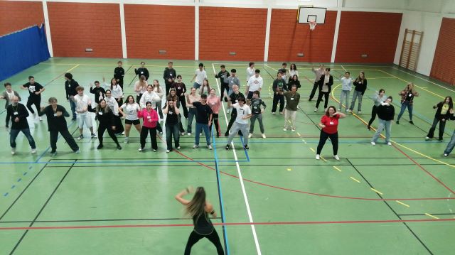Escola Secundária Dr. António Granjo recebeu um grupo de 24 alunos e 8 professores oriundos da Alemanha (Bad Harzburg), Países Baixos (Amesterdão), Eslovénia (Lenart) e Eslováquia (Bardejov), no âmbito do projeto de intercâmbio escolar Erasmus+, Together We Thrive.