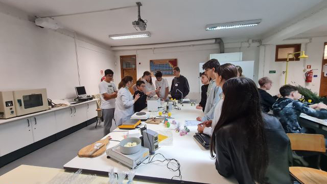 Escola Secundária Dr. António Granjo recebeu um grupo de 24 alunos e 8 professores oriundos da Alemanha (Bad Harzburg), Países Baixos (Amesterdão), Eslovénia (Lenart) e Eslováquia (Bardejov), no âmbito do projeto de intercâmbio escolar Erasmus+, Together We Thrive.