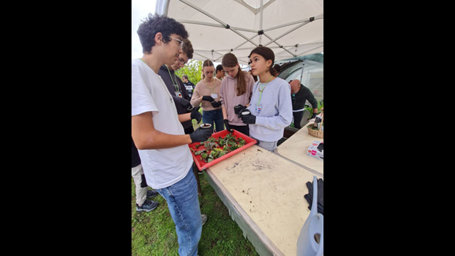 Escola Secundária Dr. António Granjo recebeu um grupo de 24 alunos e 8 professores oriundos da Alemanha (Bad Harzburg), Países Baixos (Amesterdão), Eslovénia (Lenart) e Eslováquia (Bardejov), no âmbito do projeto de intercâmbio escolar Erasmus+, Together We Thrive.