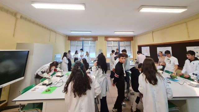 Escola Secundária Dr. António Granjo recebeu um grupo de 24 alunos e 8 professores oriundos da Alemanha (Bad Harzburg), Países Baixos (Amesterdão), Eslovénia (Lenart) e Eslováquia (Bardejov), no âmbito do projeto de intercâmbio escolar Erasmus+, Together We Thrive.